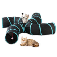 Interactive Cat Tunnel