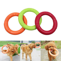 Rubber Dog Play Ring