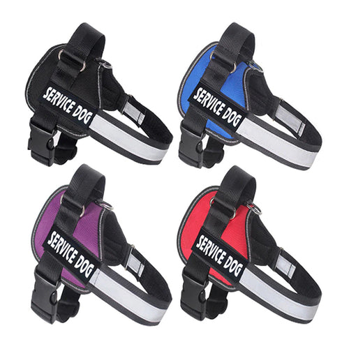 Personalised No Pull Dog Harness