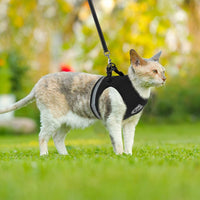 Pawfetch Cat Harness and Leash Set
