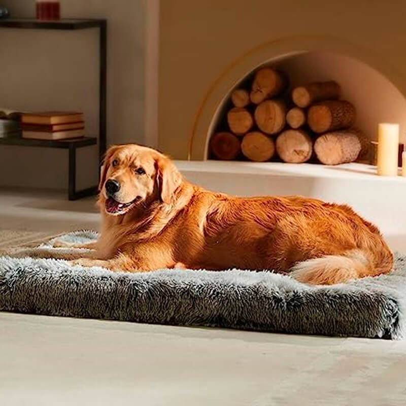 Pawfect for Dog Crates!