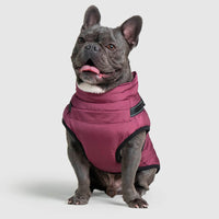 Waterproof Dog Jacket with Harness