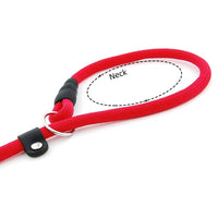 Pawfetch Slip Lead