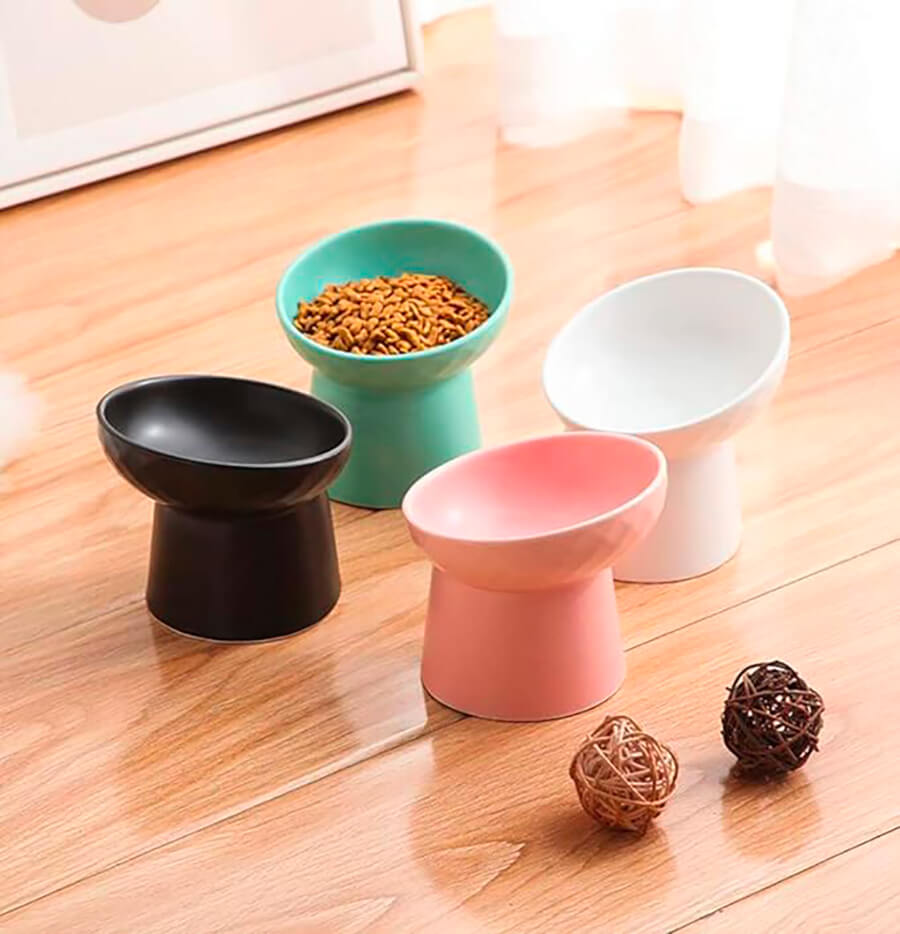 The best choice for your cat...