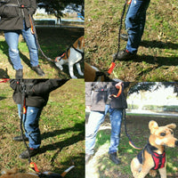 Hands Free Dog Running Lead