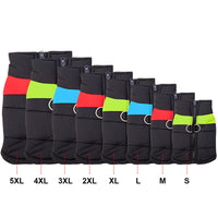 All Seasons Dog Jacket