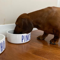 Personalised Ceramic Pet Bowls