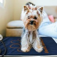 Electric Heated Pet Blanket