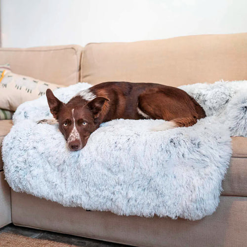 Anti Anxiety / Calming Dog Sofa Bed