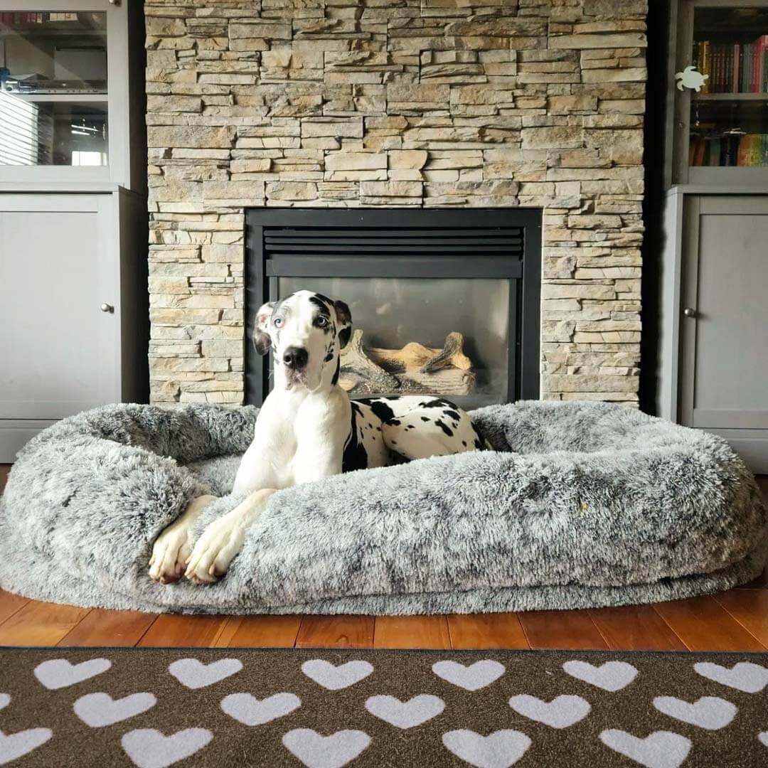 Giant Human Size Anti Anxiety/ Calming Dog Bed 170cmx90cm