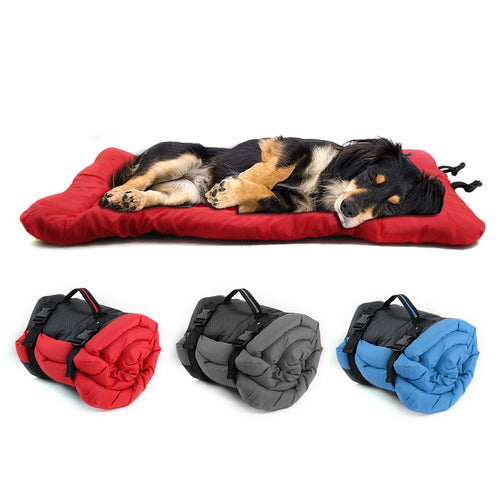 Pawfetch Outdoor Dog Mat