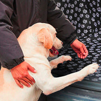 Pawfetch Waterproof Car Boot Cover
