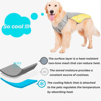 Summer Cooling Dog Jacket / Vest