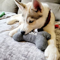 Personalised Dog Bone Toy