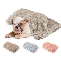 Pawfetch Comfy Dog Blanket