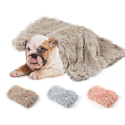 Pawfetch Comfy Dog Blanket