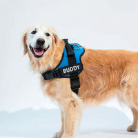 Personalised No Pull Dog Harness