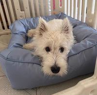Waterproof Summer Dog Cooling Bed