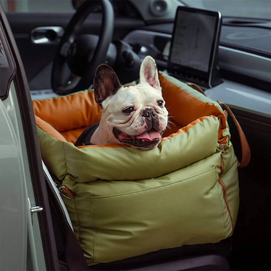 Why an Unsecured Dog in the Car Is a Real Risk