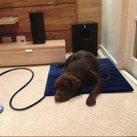 Electric Heated Pet Blanket
