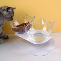 Anti-Vomiting Raised Cat Bowls
