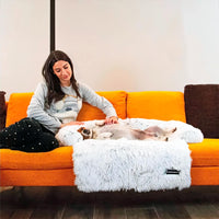 Anti Anxiety / Calming Dog Sofa Bed