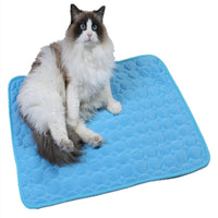 Cooling Cat Mat
