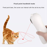 Interactive Cat Laser Pointer
