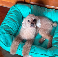 Waterproof Summer Dog Cooling Bed
