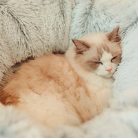 2in1 Interactive Round Cat Tunnel Bed