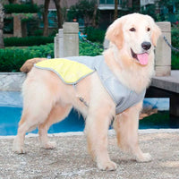Summer Cooling Dog Jacket / Vest